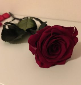 Liefde en romantiek met rozen