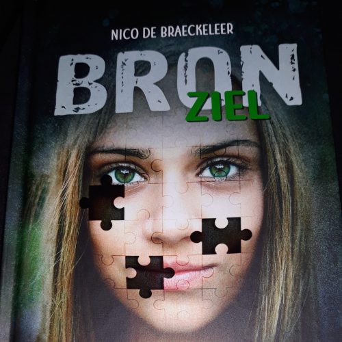 BRON- Ziel van Nico de Braeckeleer