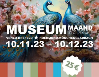 NIEUW: Museummaand met één ticket naar 13 musea in de Euregio.