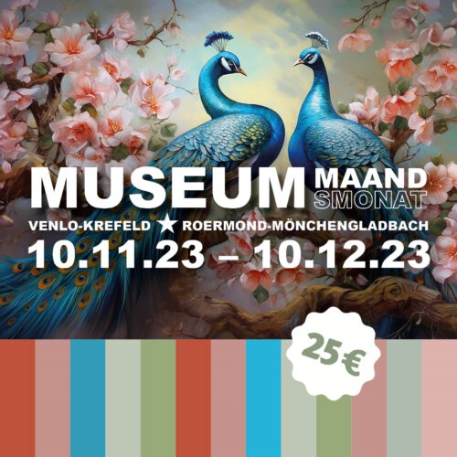NIEUW: Museummaand met één ticket naar 13 musea in de Euregio.